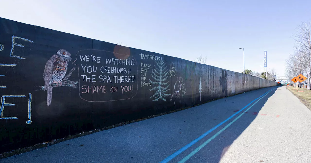 Toronto is now home to what might be the longest blackboard in the world