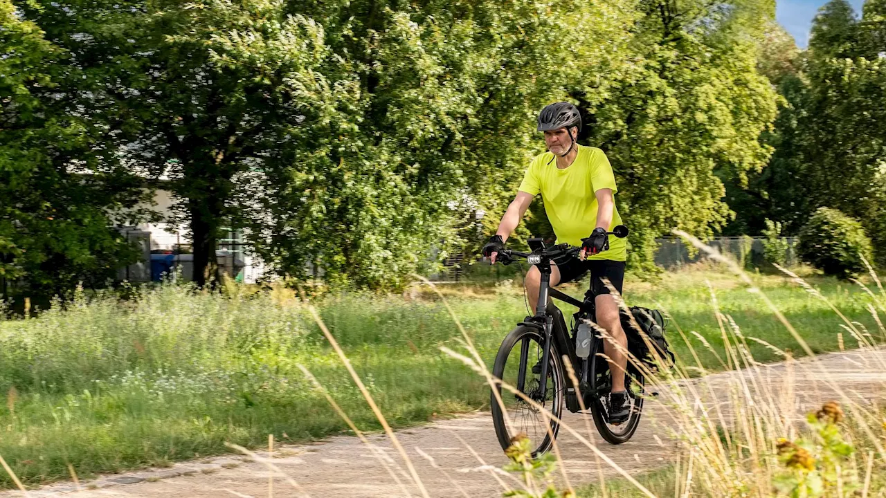 Der Akku ist nicht alles: Tipps für den Kauf gebrauchter E-Bikes