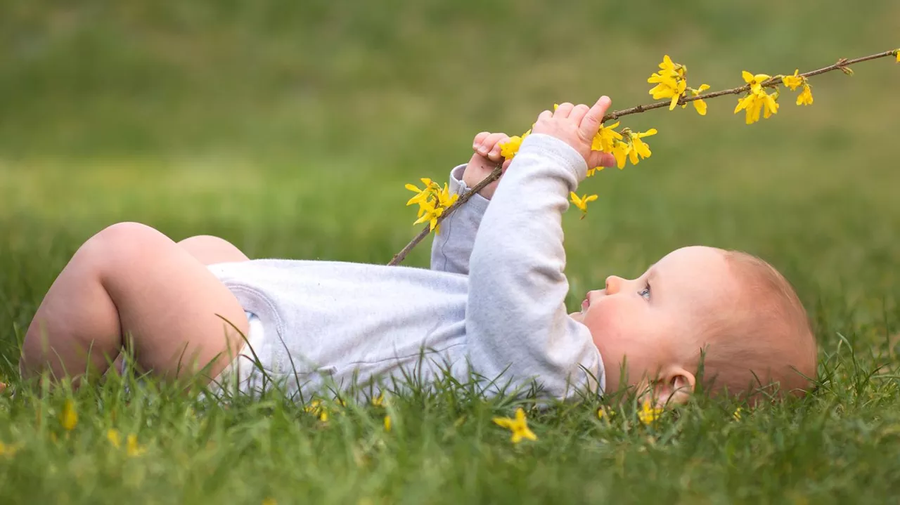 Blühende Vornamen: Die schönsten Babynamen, die vom Frühling inspiriert sind