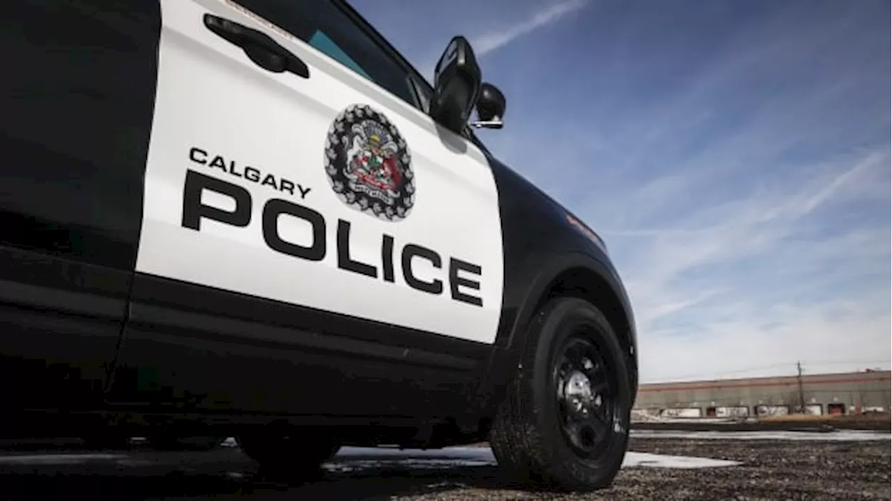 Calgary police seek public assistance in sexual assault investigation