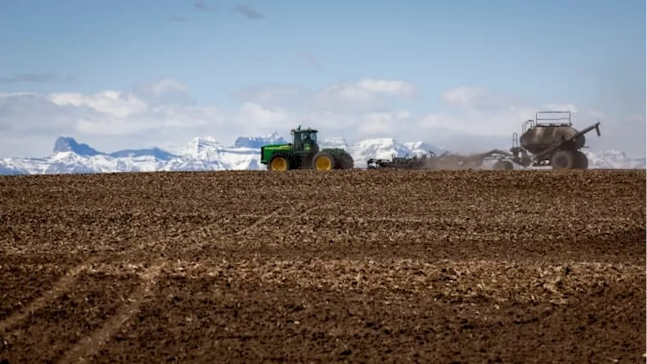 Alberta outlines $125M drought and flood grant program as water-sharing talks continue