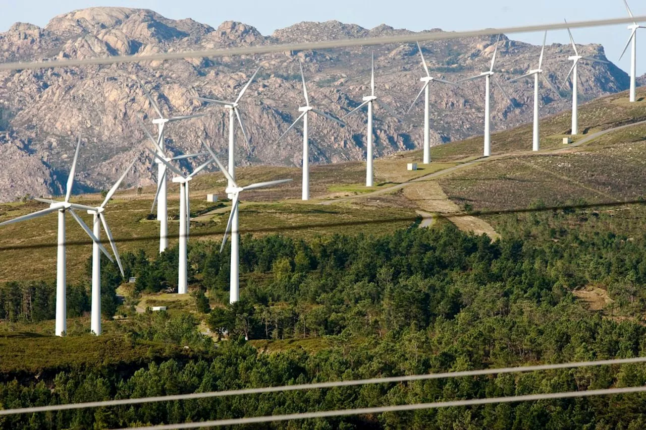 Este domingo hay 19 horas de electricidad a cero euros