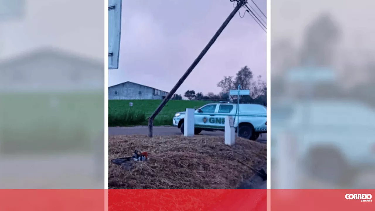 Fenómeno extremo de vento no concelho de Santarém danificou casas e postes de eletricidade