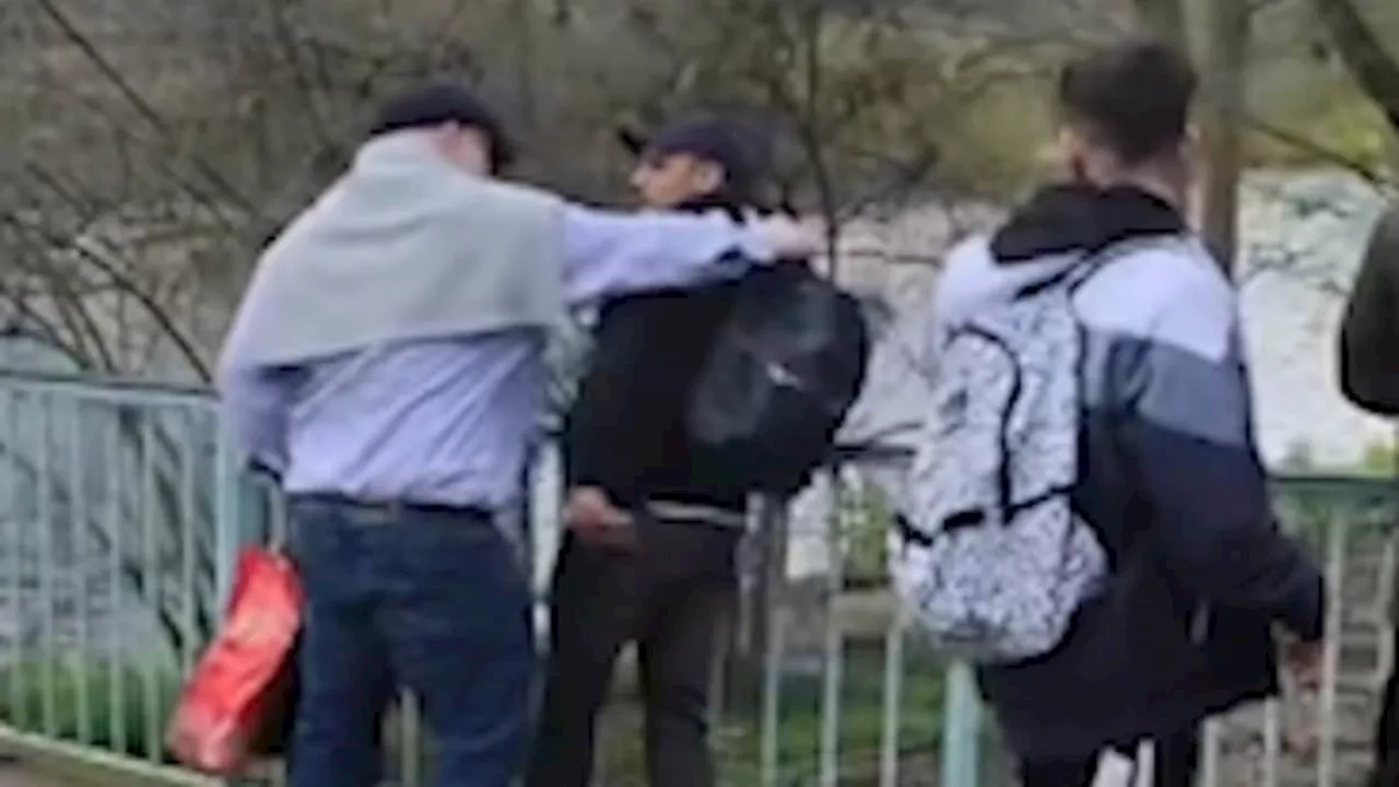 Moment passerby grabs 'pickpocket' by collar and takes a swing at him