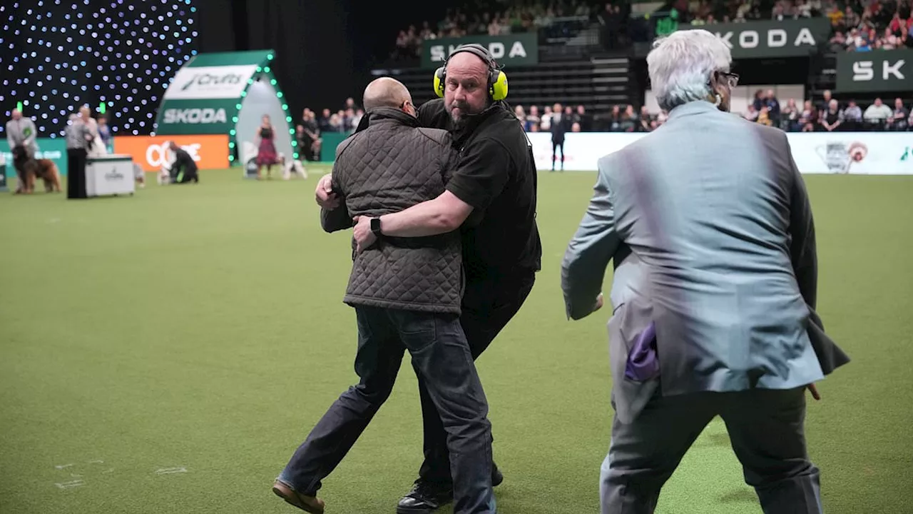 Protesters tussle with security guards after storming Crufts dog show