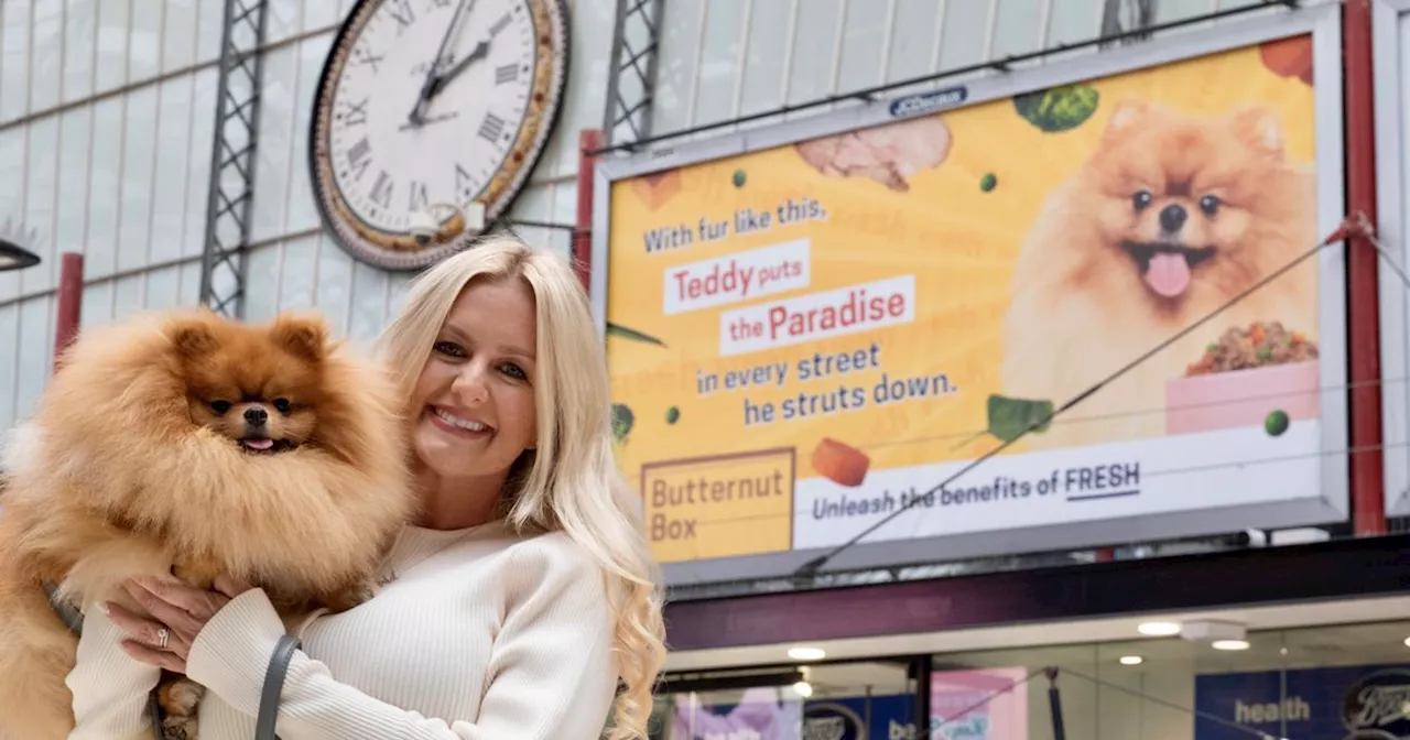 Pomeranian becomes 'celebrity' after face plastered over Lime Street