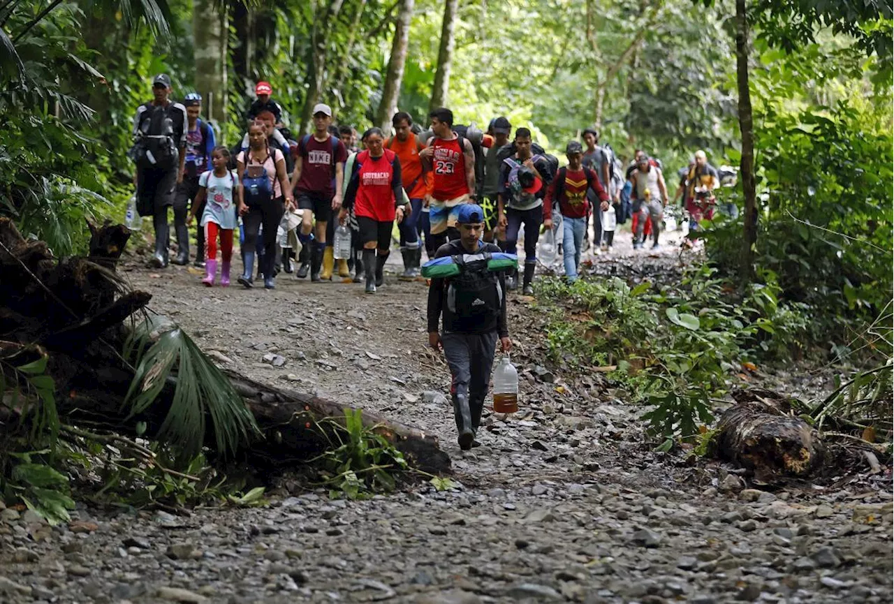 Más de 82.000 migrantes han cruzado el Darién en 2024