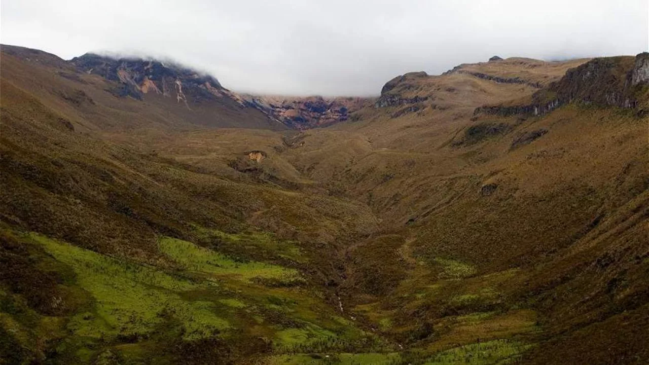 El grave impacto de la crisis en el Parque Nacional Los Nevados por turismo depredador