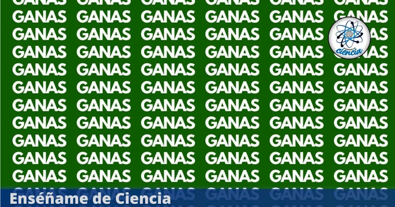 Acertijo visual de la palabra “CANAS” tienes 5 segundos para ubicarla en la imagen VIRAL