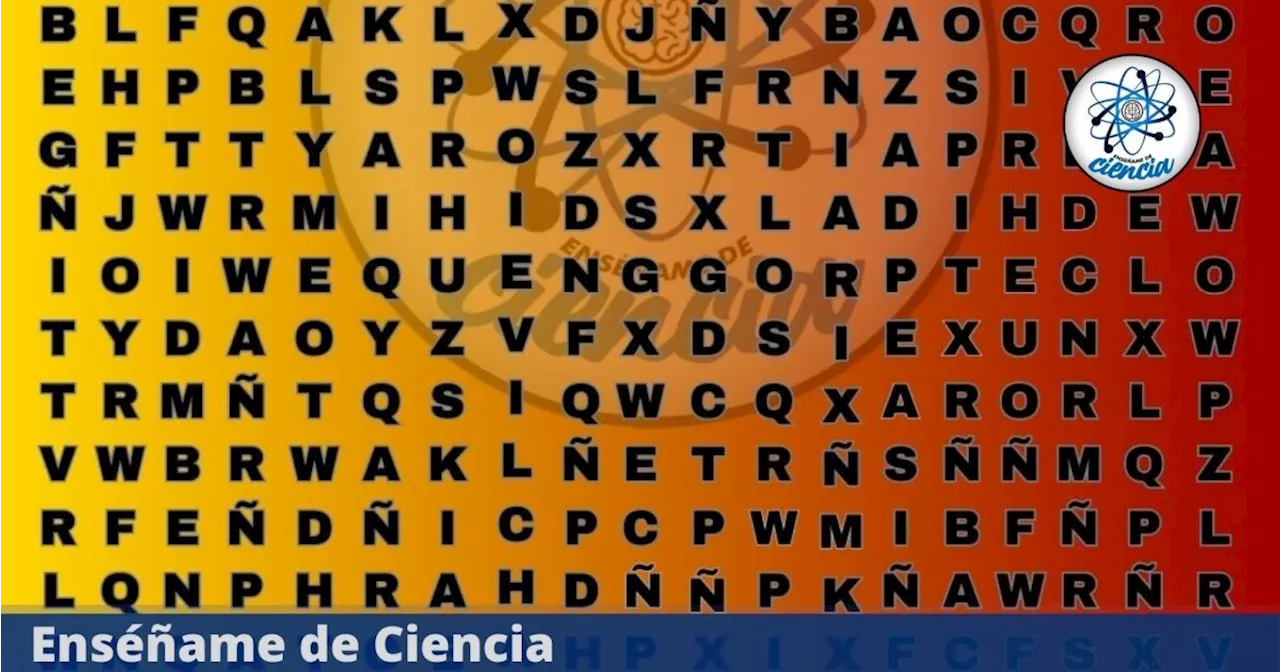 Acertijo visual de VELOCIDAD: Ni los más GENIOS logran descubrir la palabra “ARAÑA” en la sopa de letras nivel PRO