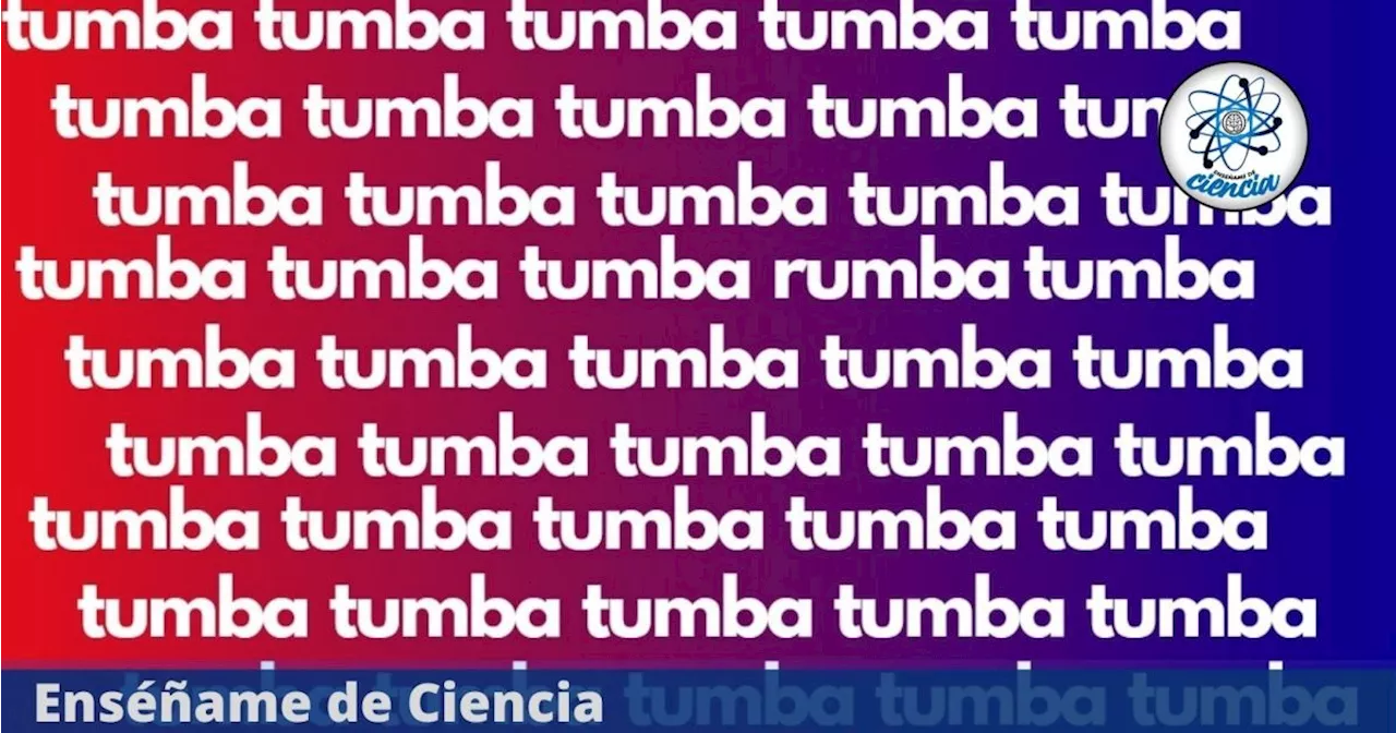 ¿Todas dicen TUMBA? Resuelve el acertijo visual de la palabra INFILTRADA; el 94 % de los más astutos falló