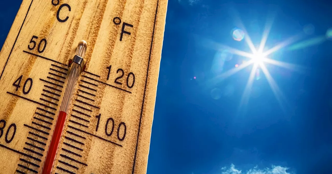 Heatwave to persist in the Free State, North West and Limpopo, warns weather service