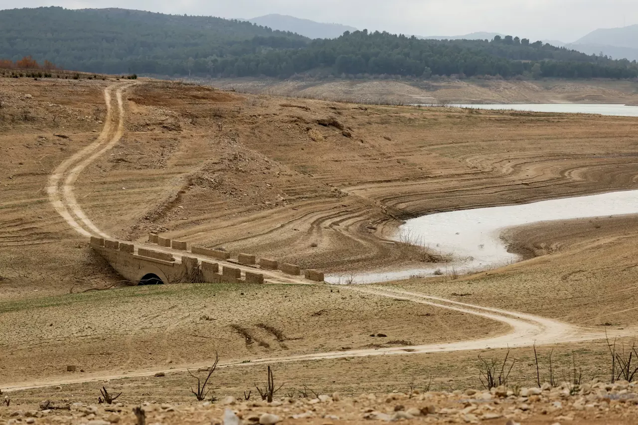 Calor em níveis críticos em Portugal e sul da Europa, diz Agência Europeia do Ambiente