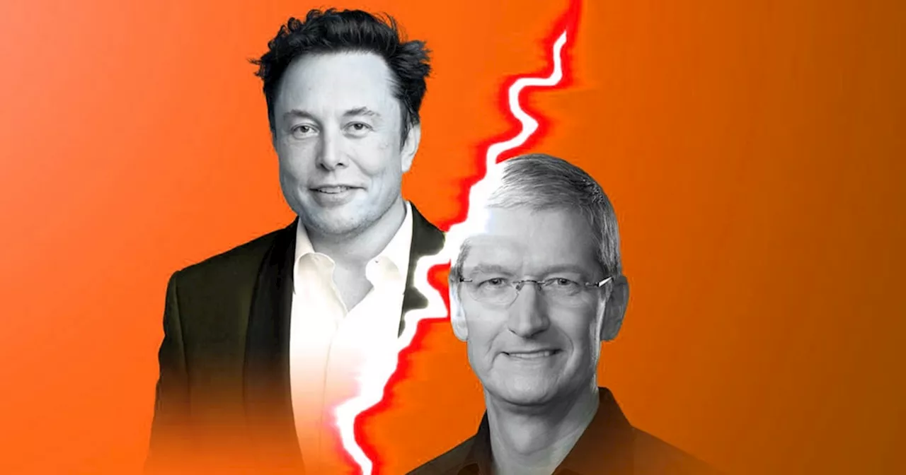 Tim Cook vs. Elon Musk: Así dividen sus jornadas laborales los magnates de la tecnología