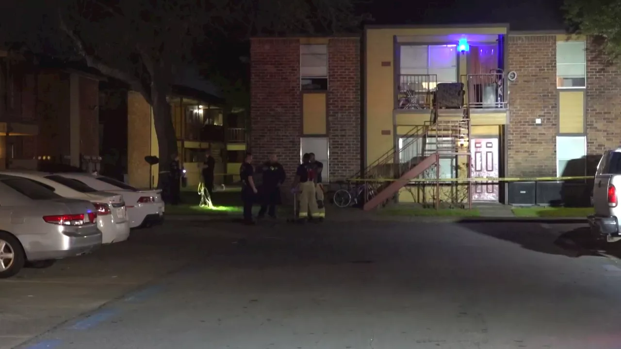 Houston fatal shooting: Woman shoots two men inside apartment complex before fleeing with two children