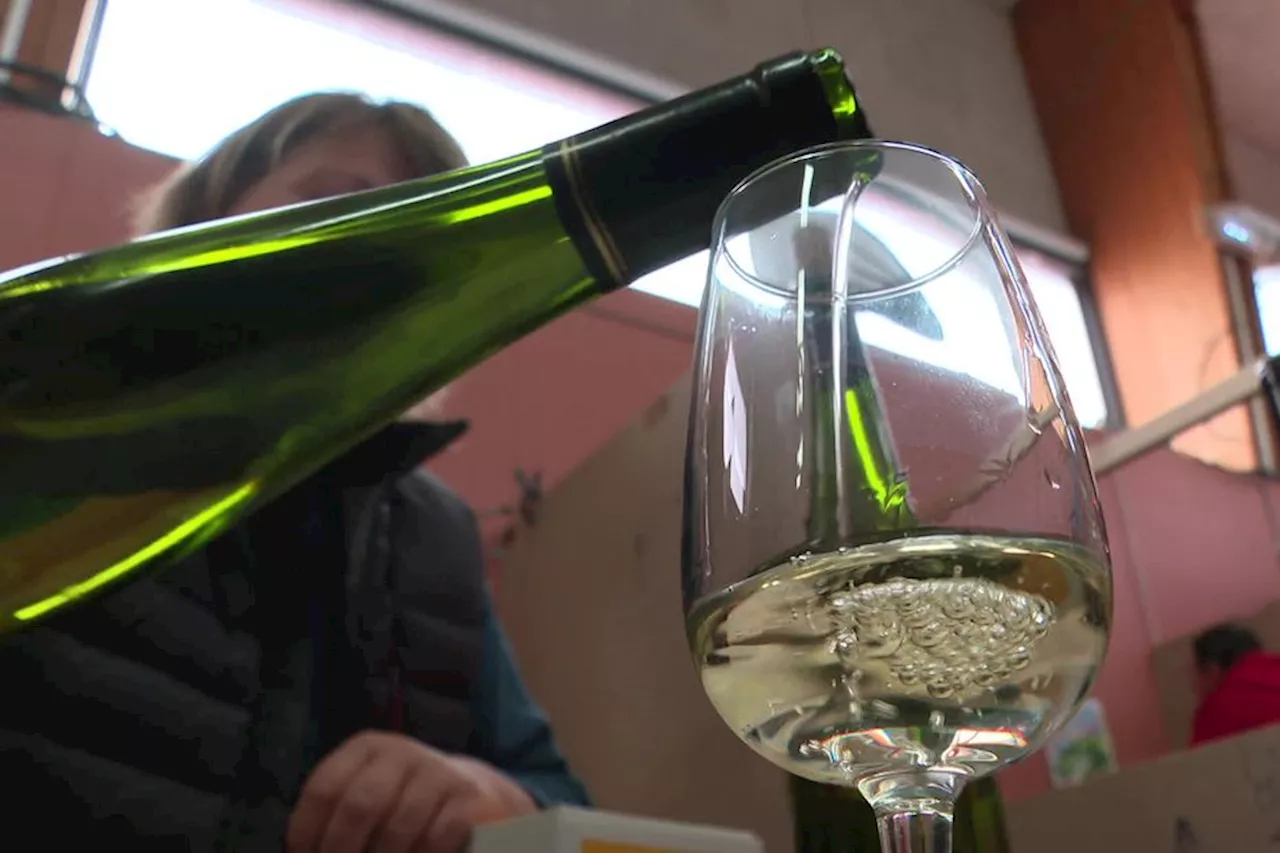 Fête du vin dans le Puy-de-Dôme : un modèle qui fait ses preuves