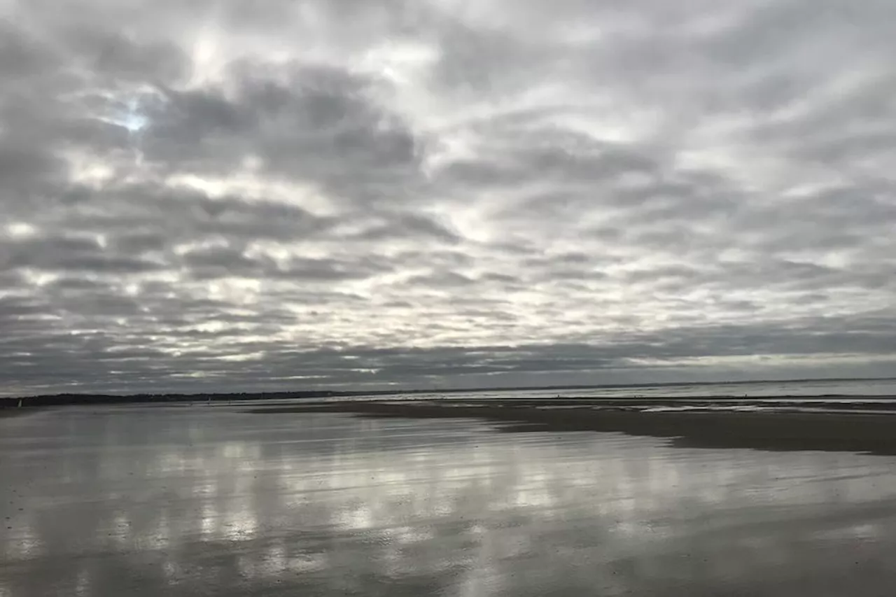 Météo en pays de la Loire : des bancs de brouillard ce dimanche matin