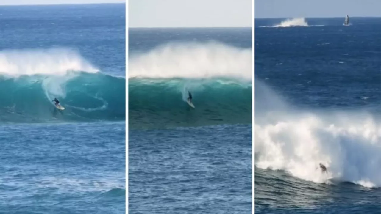 Tra onde giganti e balene: la splendida cavalcata di un surfista... di 11 anni