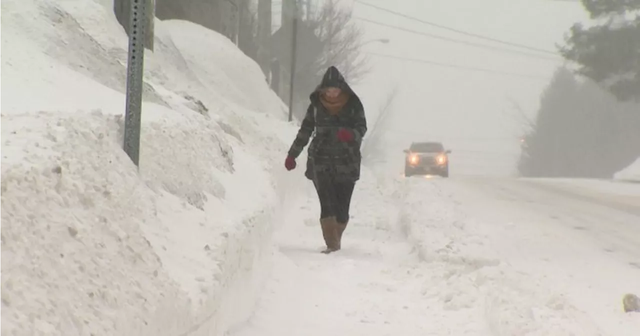 40 centimetres of snow forecast to hit northeastern New Brunswick: Environment Canada