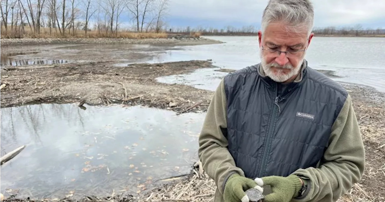 Hundreds of fish turned up dead in Quebec. Environmentalists want to know why