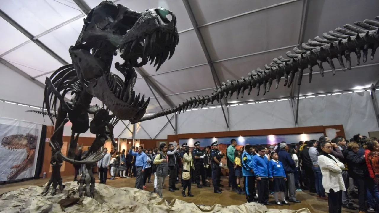 Los dinosaurios invaden la UNAM: todo lo que tienes que saber de la exposición en Universum