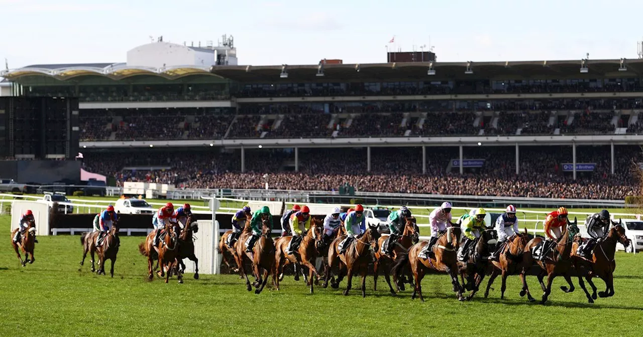 Cheltenham Festival 2024: Bookies preparing for biggest betting week of the year