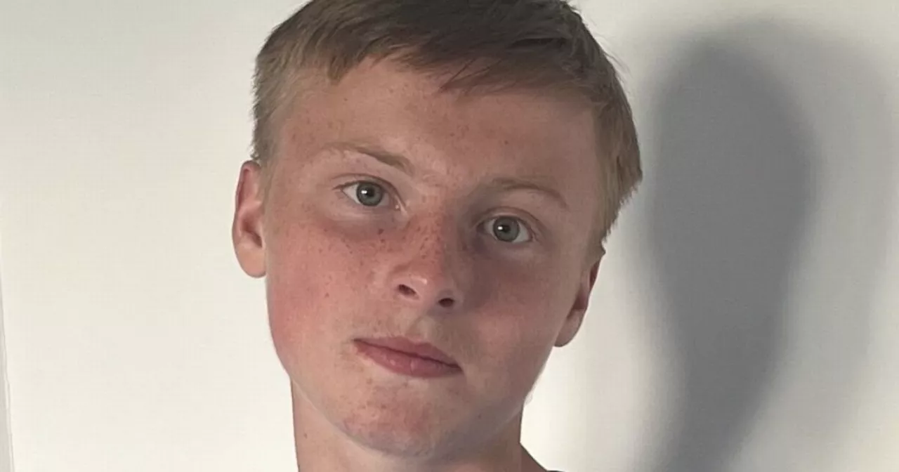 Gardai 'concerned' for welfare of missing Dublin teenager