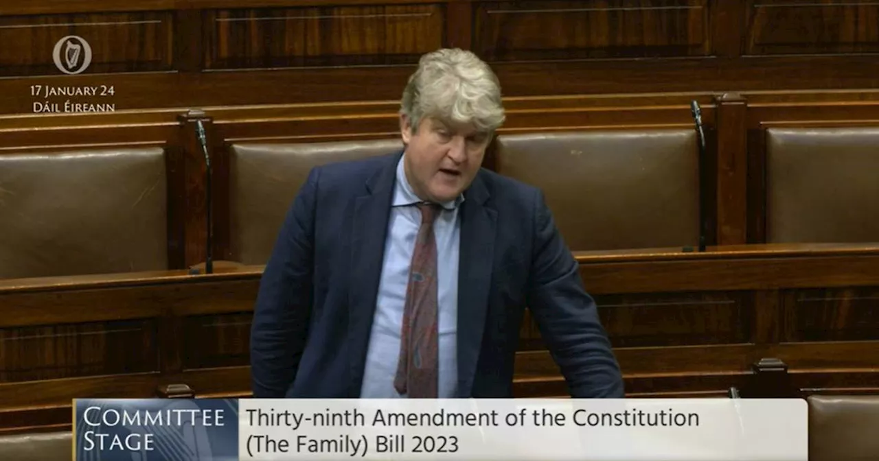 Government Defeated in Family and Care Referendums, Says Independent TD