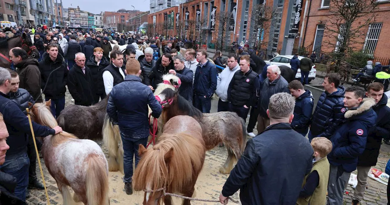 Smithfield horse fair protest: ‘There’s six generations of us coming to this’