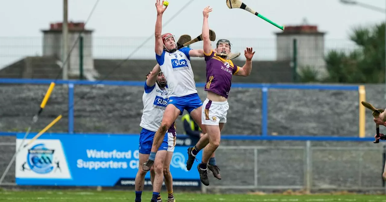 Wexford seal place in 2025 top flight with strong second half display to see off Waterford