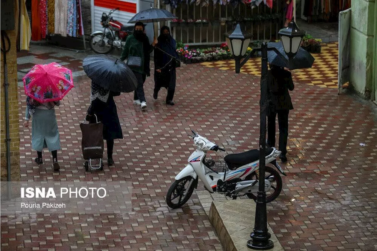 رگبار باران و وزش باد شدید در شمال و غرب تهران