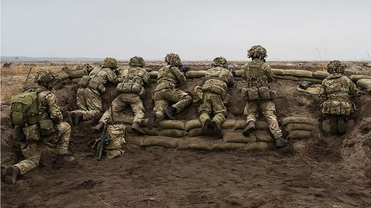 Полковник НАТО в отставке оценил заявление Польши о военных альянса на Украине