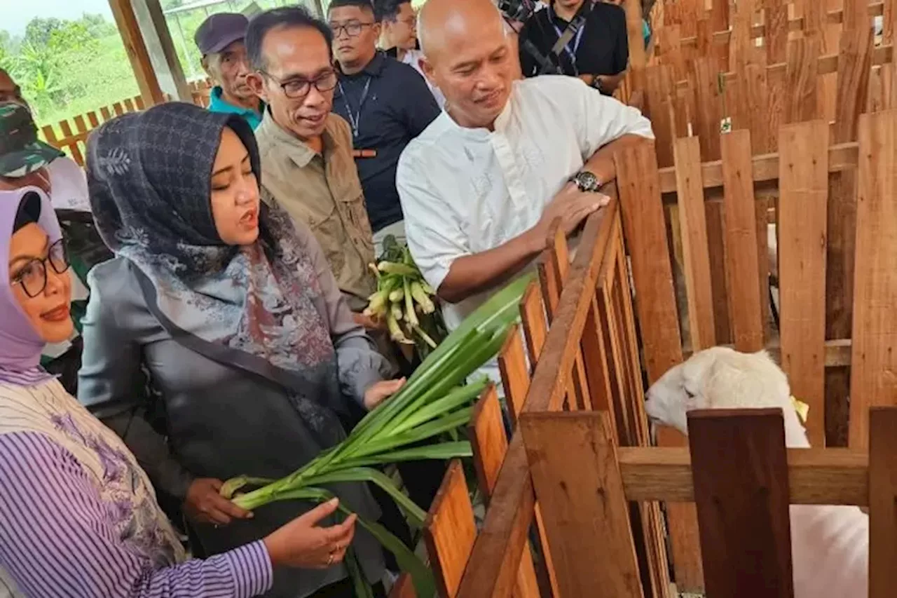 BSI Bersinergi dengan BSI Maslahat Kembangkan Klaster Peternakan di Mojokerto