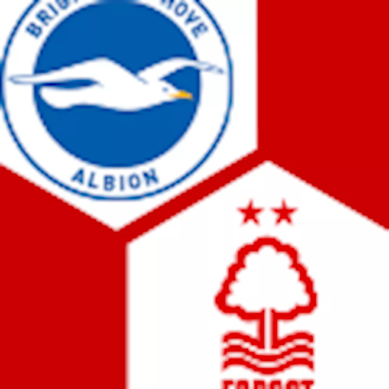 Brighton &amp; Hove Albion - Nottingham Forest : | 28. Spieltag