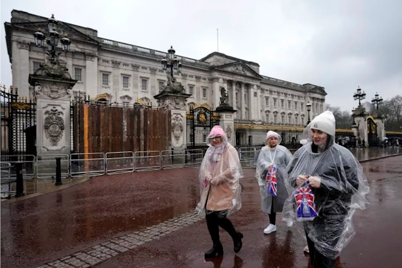 A driver has been arrested after crashing his car into the gates of Buckingham Palace in London