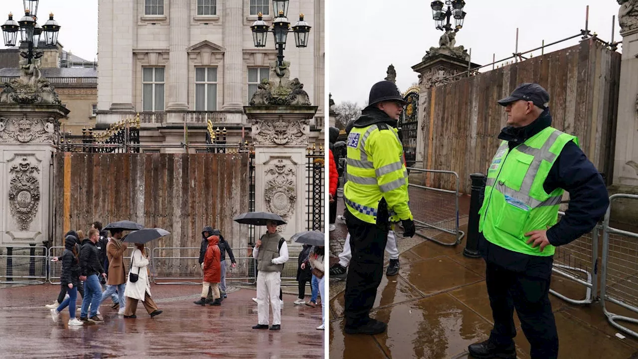 Man arrested after car crashes into Buckingham Palace gates and armed police swoop on vehicle