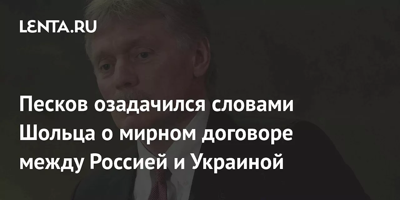 Песков озадачился словами Шольца о мирном договоре между Россией и Украиной