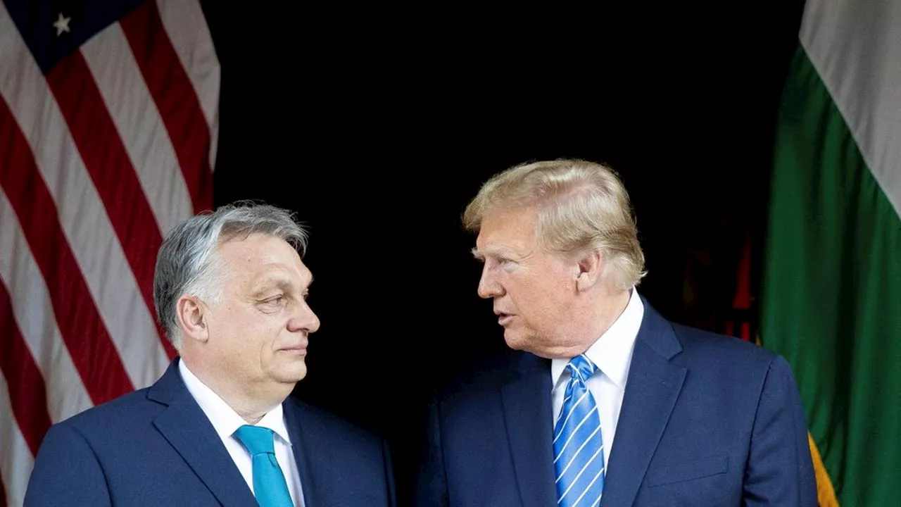 Donald Trump et Viktor Orban mettent en scène leur proximité idéologique