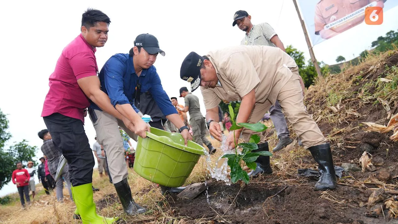 Pj Gubernur Sulsel Galakkan Penanaman 2 Juta Bibit Nangka Madu