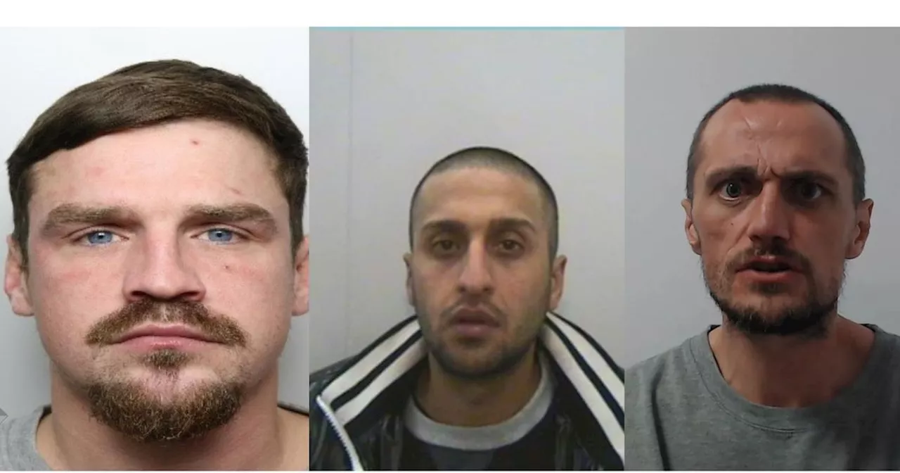 14 people who were jailed this week for heavy crimes in Greater Manchester