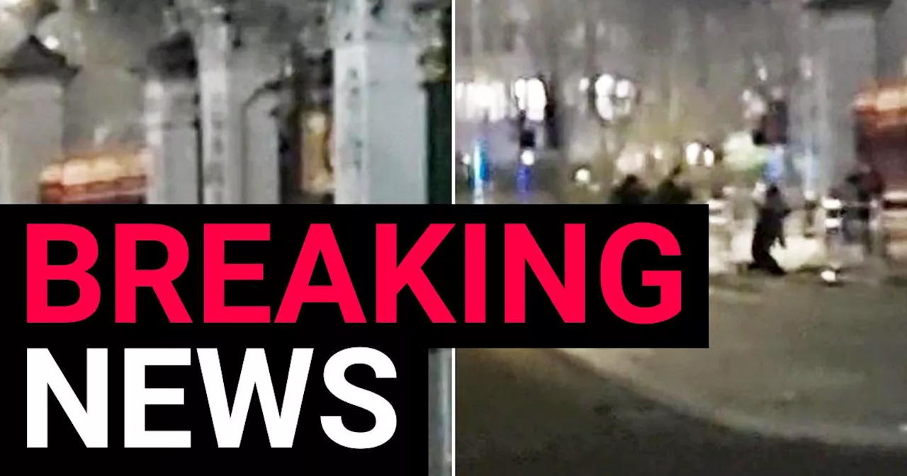 Car swarmed by armed police after crashing into gates of Buckingham Palace