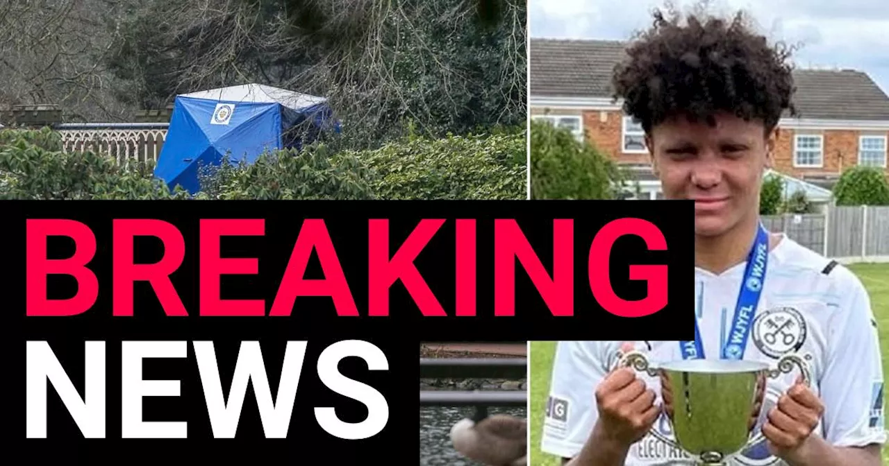 First picture of boy, 17, knifed to death in Wolverhampton park