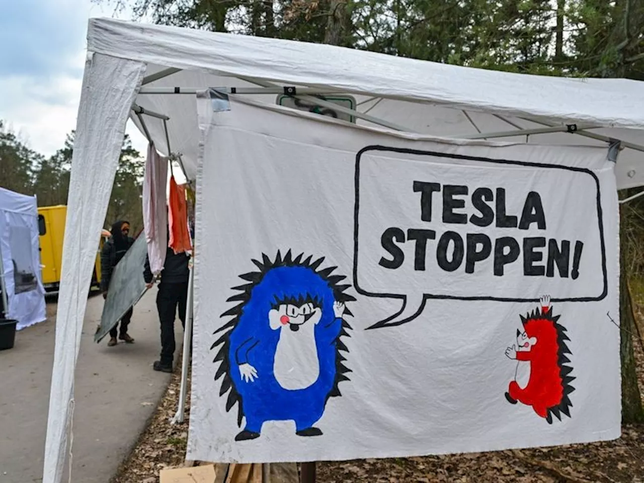 Umweltbündnis demonstriert gegen Tesla in Grünheide