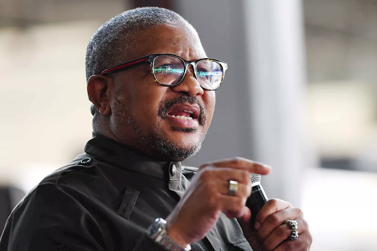DA demands IT expert look at ANC’s “crashed” cadre records laptop