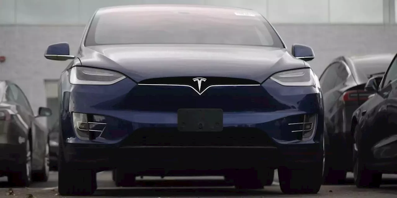 Tragisches Ende: US-Milliardärin stirbt in Tesla auf eigenem Anwesen