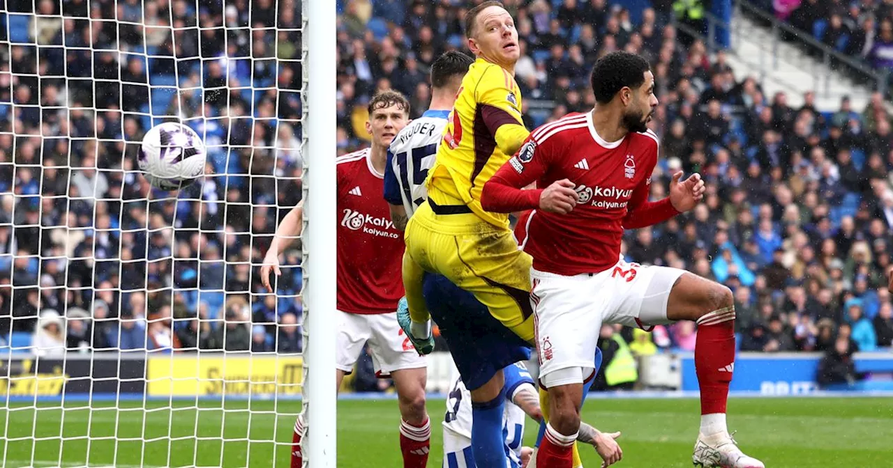 Nottingham Forest ratings - Reds below par in Brighton defeat