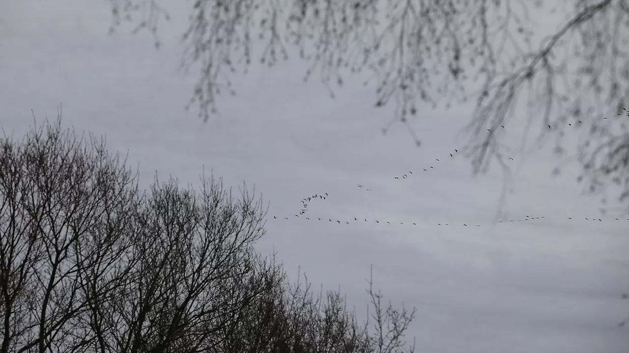 Nordrhein-Westfalen: Wetter im NRW zum Wochenstart wieder grau und mit viel Regen