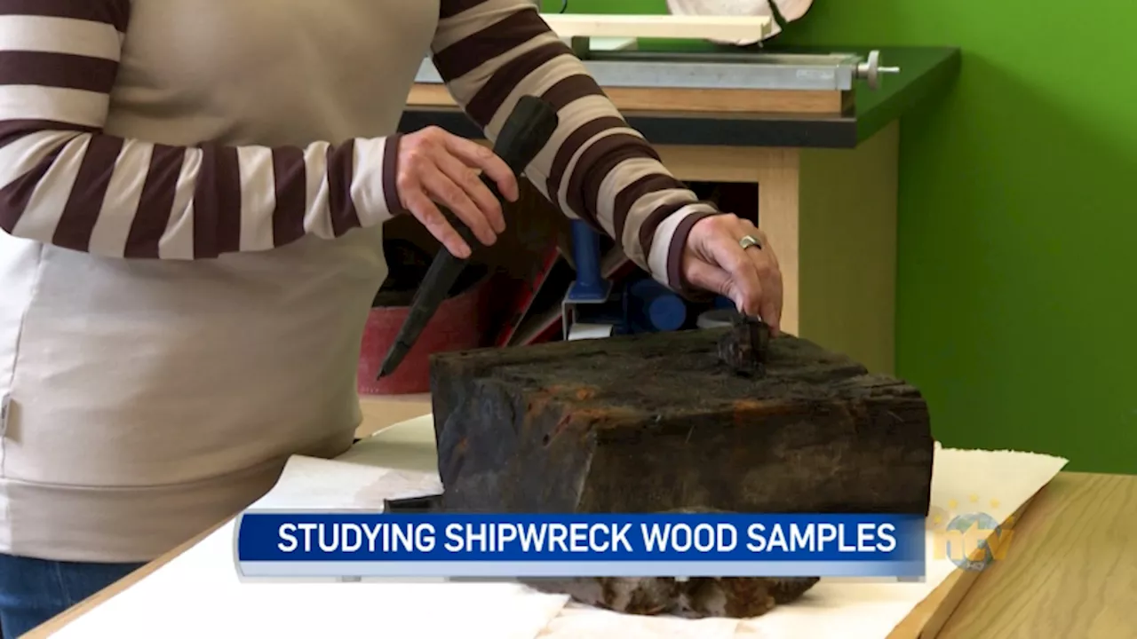 Shipwreck Wood Samples Being Studied at Memorial University