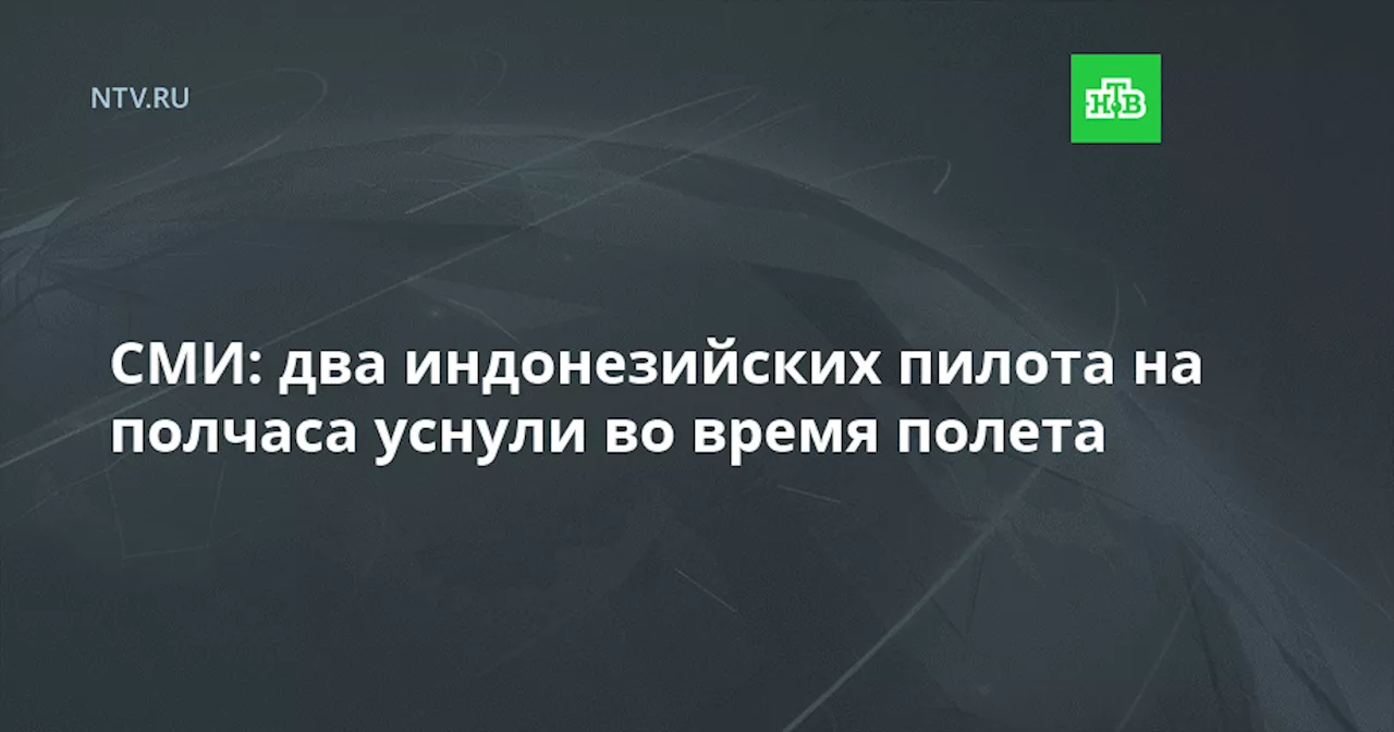 СМИ: два индонезийских пилота на полчаса уснули во время полета