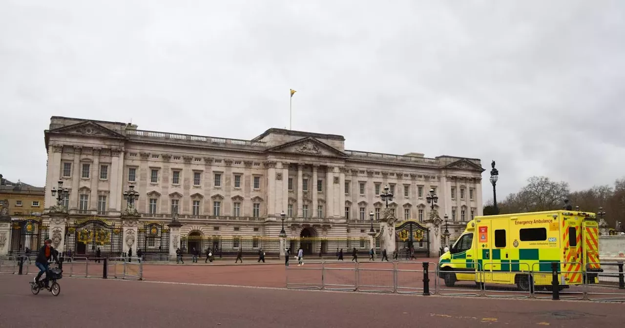 Man arrested after crashing into Buckingham Palace gates as armed police arrive